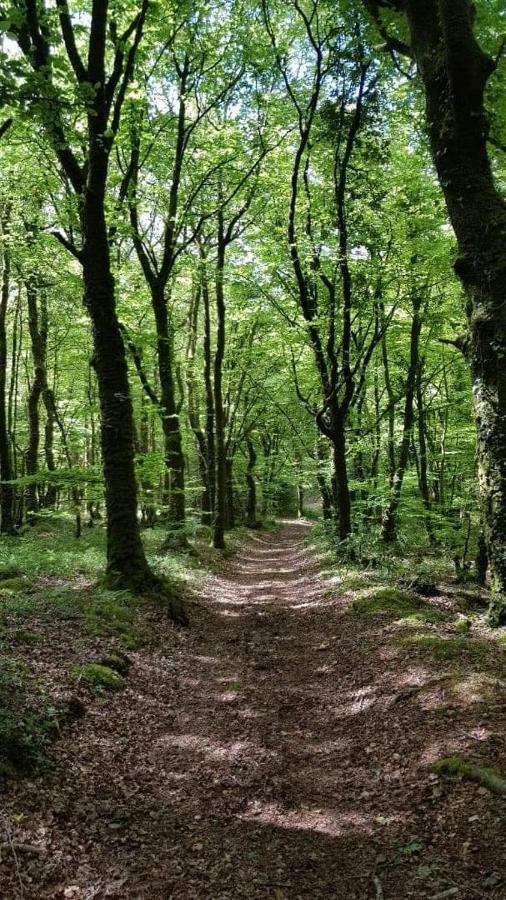 Gite De Rosvern Commana Dış mekan fotoğraf