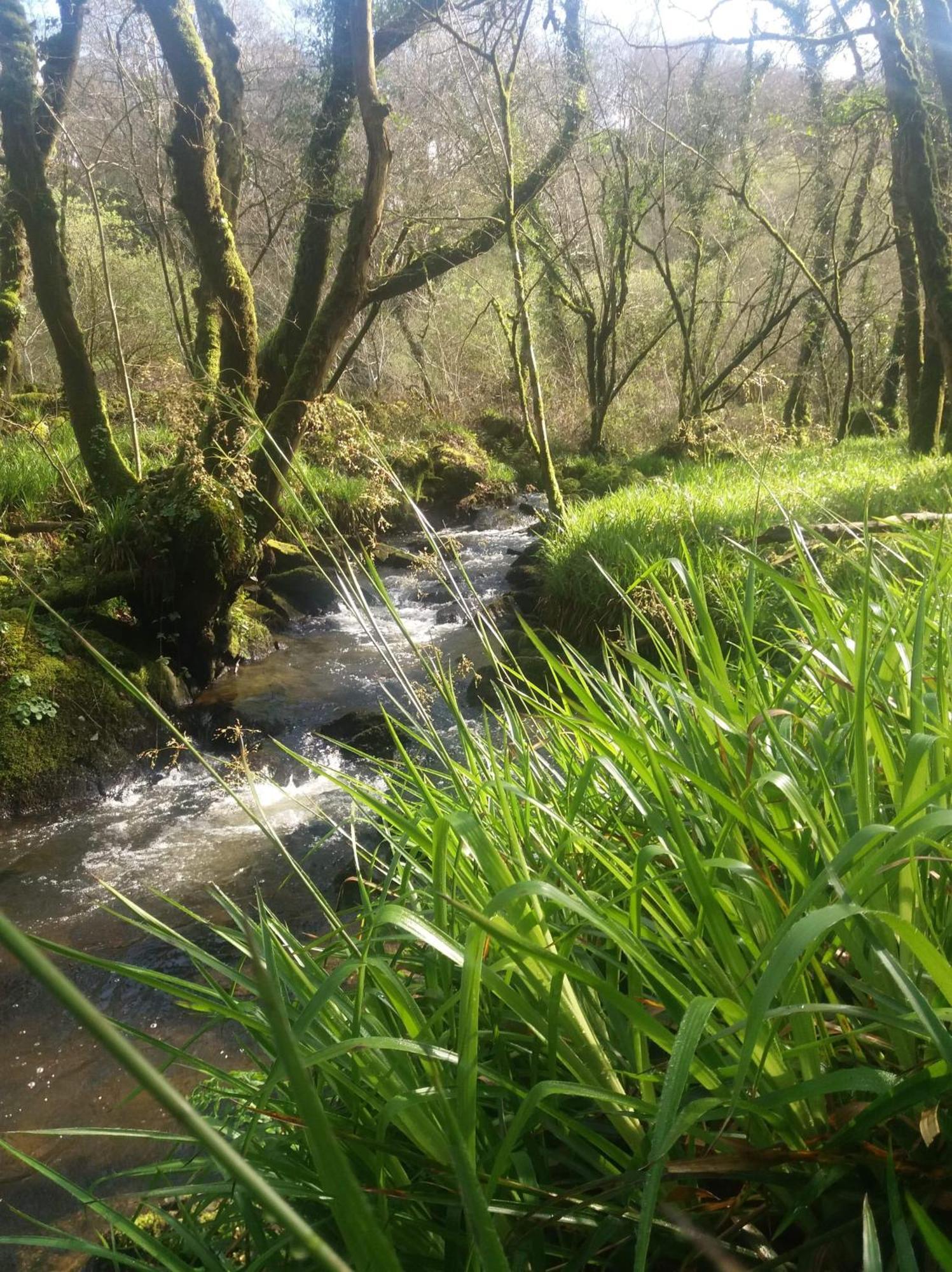Gite De Rosvern Commana Dış mekan fotoğraf